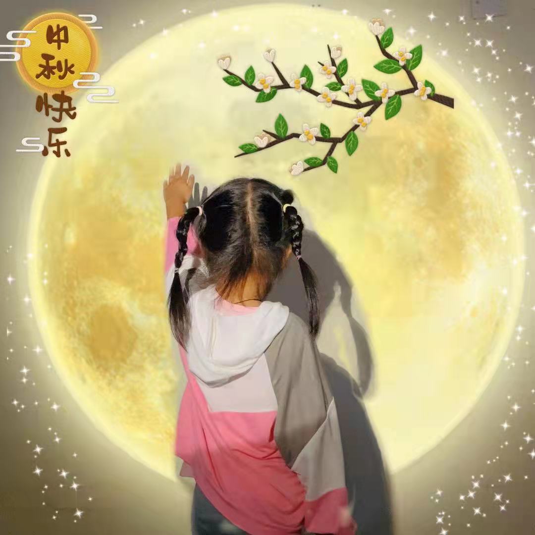 八月十五月儿圆